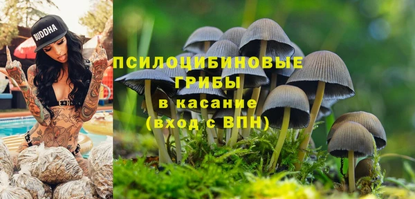 винт Алексеевка